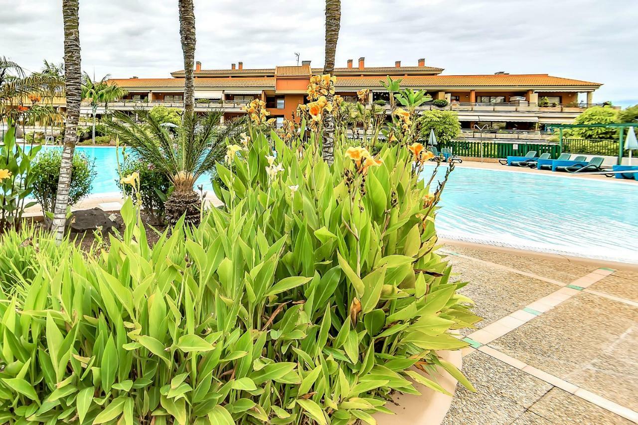 Jardines Del Teide Apartment Puerto de la Cruz  Ngoại thất bức ảnh